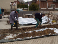 Vorbereitung und Pflanzen